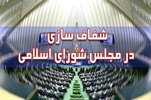 شفاف سازی مجلس درباره میزان مشارکت نمایندگان در رأی گیری‌ها+عکس