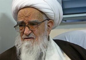 انتقاد آیت‌الله صافی گلپایگانی از ملت‌های مسلمان