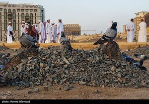 کماکان جامع‌ترین کتاب درباره امام مجتبی «صلح امام حسن(ع)» رهبری است