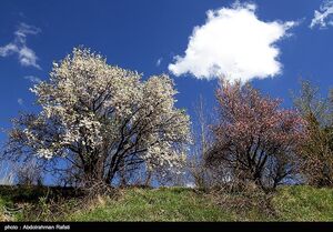 لطفا از طبیعت انتقام نگیرید!