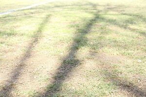 عکس/ تمرین نماینده آسیایی ایران در گل و لای!