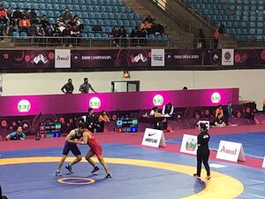 3 فرنگی کار ایران فینالیست شدند