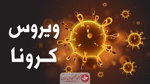 آخرین تصمیم ستاد مقابله با کرونا در ورزش