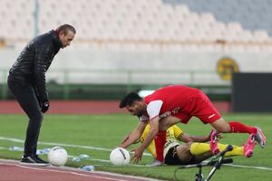 گل‌محمدی: داور پنالتی ما را ندید