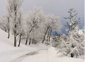 تصاویری زیبا از سفیدپوش شدن لبنان