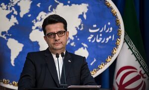واکنش وزارت خارجه به تحریم شرکت‌های پتروشیمی