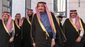 چرا محمد بن سلمان دو شاهزاده سعودی را بازداشت کرد؟