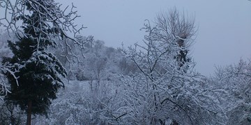 بارش برف‌ و باران از فردا در کشور/ هشدار طغیان رودخانه‌ها و تگرگ