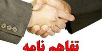 ایران و عراق برای حل مشکلات دامپزشکی تفاهم نامه همکاری امضا می کنند