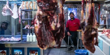 دام‌ زنده توسط یک شبکه غیررسمی خریداری می‌شود/ گوشت قرمز، گرفتار بازارهای ناشناخته