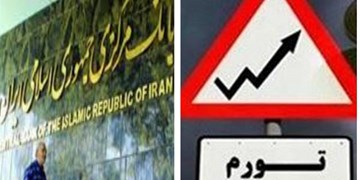 دولت برای حذف آمار بانک مرکزی از شورای عالی آمار مصوبه گرفت