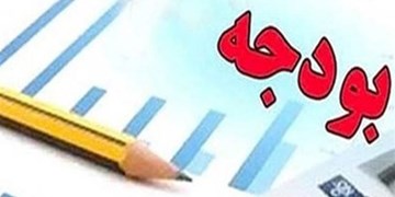 جزئیات عملکرد 6 ماهه بودجه/ شرکت‌های دولتی 0.25 درصد مالیات دادند+ جدول