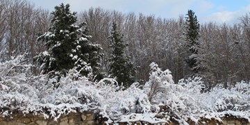 یخبندان در 24 استان/برف و باران در غرب و شمال کشور