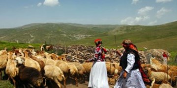 ممانعت برخی افراد از ورود دام عشایر استان سمنان به مراتع/سازمان جنگل‌ها ورود نکرده است