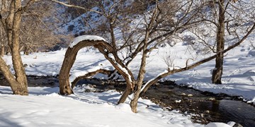 شرایط پایدار جوی در اغلب شهرها‌/آسمان تهران فردا صاف است