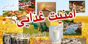 زنگ خطر امنیت غذایی در کشور به صدا درآمده است/بالاترین میزان امنیت در چه سالی بود