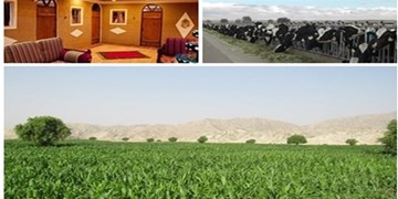 ضعف‌ در اجرای قانون  اشتغال روستایی در سال گذشته