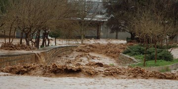 300 میلیارد تومان به کشاورزان خسارت دیده از سیل پرداخت می‌شود