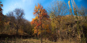 برف و باران در کشور از چهارشنبه/آسمان کرمان فردا صاف و آفتابی است