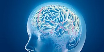 مرکز آموزشی تحقیقاتی «علم مغز» به زودی افتتاح می‌شود