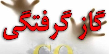 کاهش 24 درصدی تلفات ناشی از استنشاق گاز منواکسید کربن