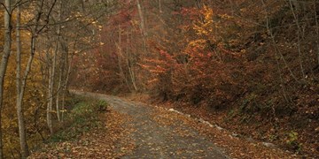 «بازمانده عصر یخبندان» در انتظار ثبت جهانی/ یونسکو به نفع ایران رای داد + عکس