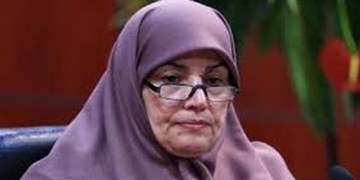پیش از سال ۹۴  محصولات تراریخته بدون هیچ نظارتی به کشور وارد می‌شد/کرسی کنوانسیون تنوع زیستی ایران 10 سال خالی بود