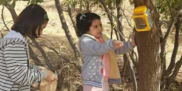آغاز به کار پویش یلدا با طبیعت و کاشت بلوط به مناسبت روز دانشجو