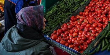 ضرورت گسترش میادین میوه و تره بار در محلات فاقد میدان