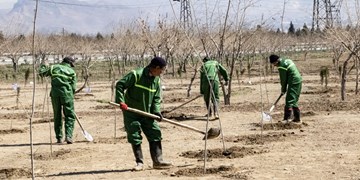 آیین کاشت 2هزار اصله نهال درمجموعه گردشگری بوستان کوهسار منطقه 5 پایتخت