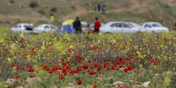 جزئیاتی از کیفیت زندگی در شهر تهران اعلام شد