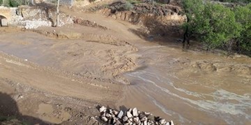 دستور وزیر بهداشت جهت اعزام ۳۰ دستگاه آمبولانس به  خوزستان