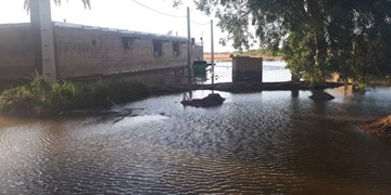 امداد رسانی به 846 نفر در 16 استان کشور