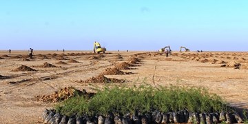 طرح نوسازی روستاهای آسیب دیده ازسیل اجرا می‌شود