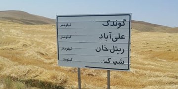 از احیای روستای متروکه تا بازگشت فرش آهنی به بیجار