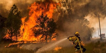 تعلل وزارت دفاع  در اعزام بالگرد برای مهار آتش‌ ارسباران