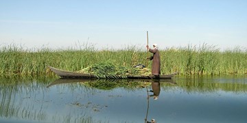 بخشی از کانون‌های گرد و غبار تالاب هامون سیراب شدند