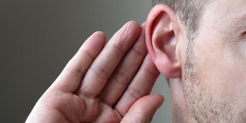 استقرار مترجمین ناشنوا در سراهای محلات  همزمان با روز جهانی معلولان
