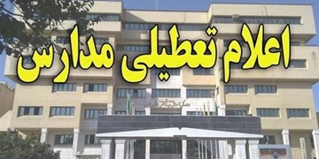 نماینده آموزش و پرورش: تعطیلی مدارس تأثیری در کاهش آلودگی هوا ندارد/ استاندار: ما نسبت به سلامت مردم مسؤولیم