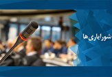 خروج شورایاری‌ها از دستور کار هیئت دولت
