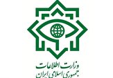 باندهای قاچاق طلا و ارز منهدم شد
