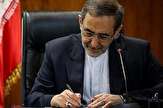 ولایتی درگذشت آیت الله هاشمی شاهرودی را تسلیت گفت