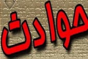 ۲ مرد جوان به علت مرگ یک گاو به قتل رسیدند!