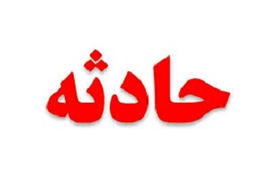 آتش سوزی در انبار کارخانه تن ماهی لارستان