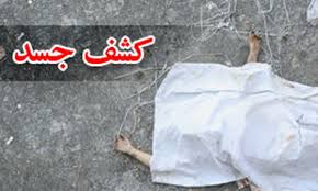راز جسد برهنه دختر 15 ساله در پارک+عکس