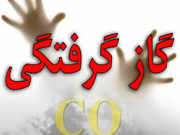 فوت ۶۸ تهرانی بر اثر مسمومیت ناشی از گاز مونوکسیدکربن طی ۸ ماه نخست امسال