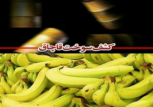 کشف میوه و سوخت قاچاق در قزوین