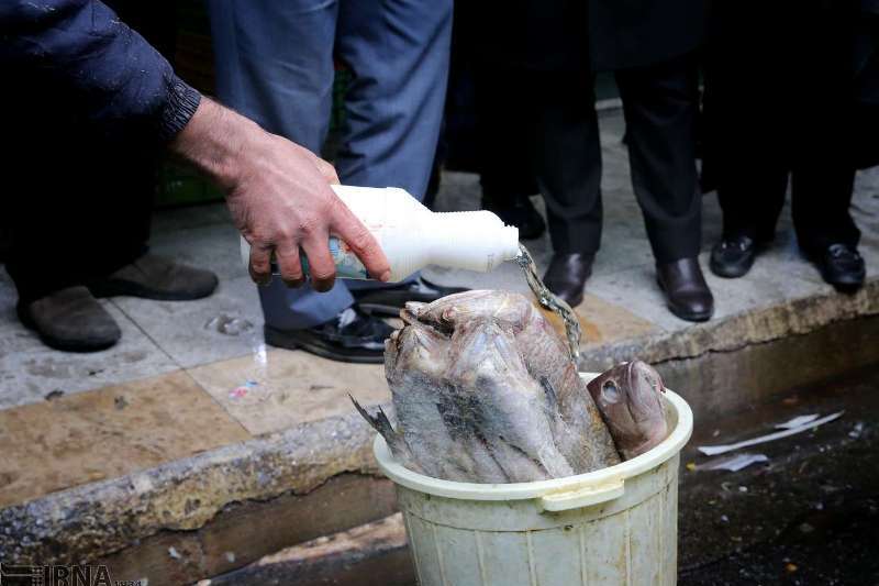 نگهداری مرغ و ماهی در کنار توالت!