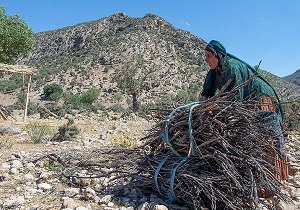 مستمری‌بگیران صندوق بیمه اجتماعی روستایی بسته جبرانی می‌گیرند