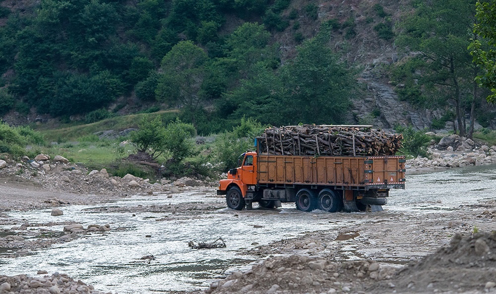 هشدار محیط زیست به قاچاقچیان چوب